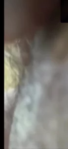 骚狗发骚
